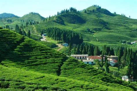 one of the beautiful cities in jhapa district|Discover Jhapa, Nepal: Natural Beauty, Culture, & Adventure.